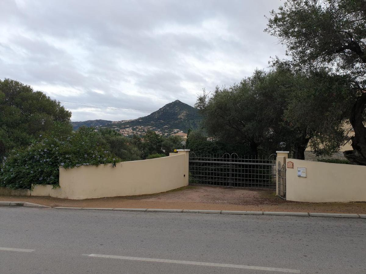 Villa Athena LʼÎle-Rousse Exterior foto